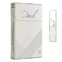 Dove Silver Compact