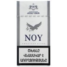 Noy Lights