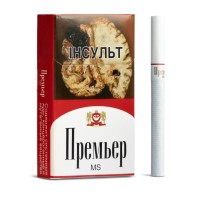 Премьер MS
